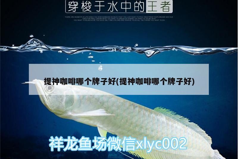 提神咖啡哪個(gè)牌子好(提神咖啡哪個(gè)牌子好)