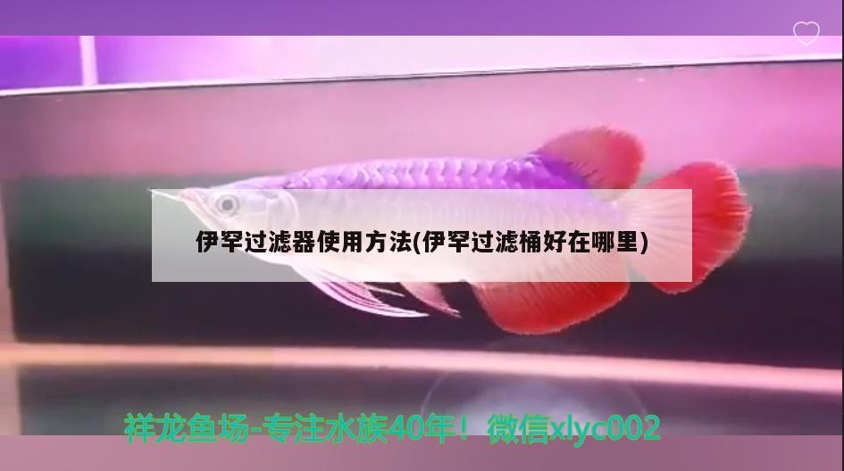 伊罕過(guò)濾器使用方法(伊罕過(guò)濾桶好在哪里)