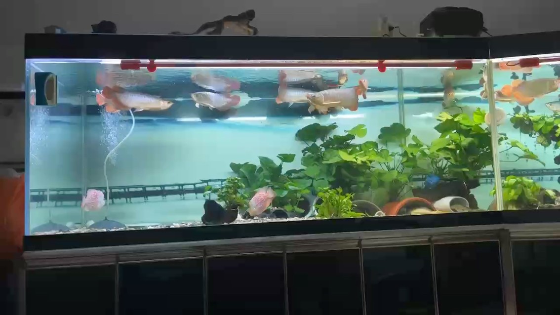 失眠夜