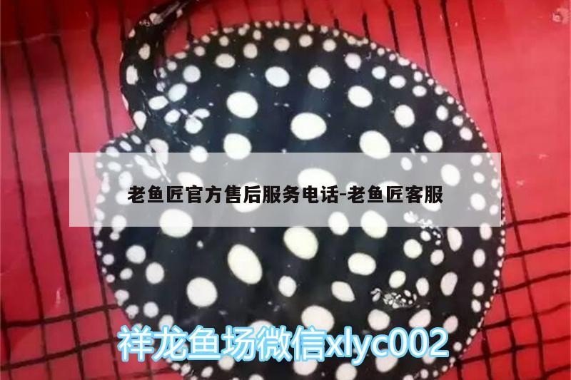 老魚匠官方售后服務電話:老魚匠客服