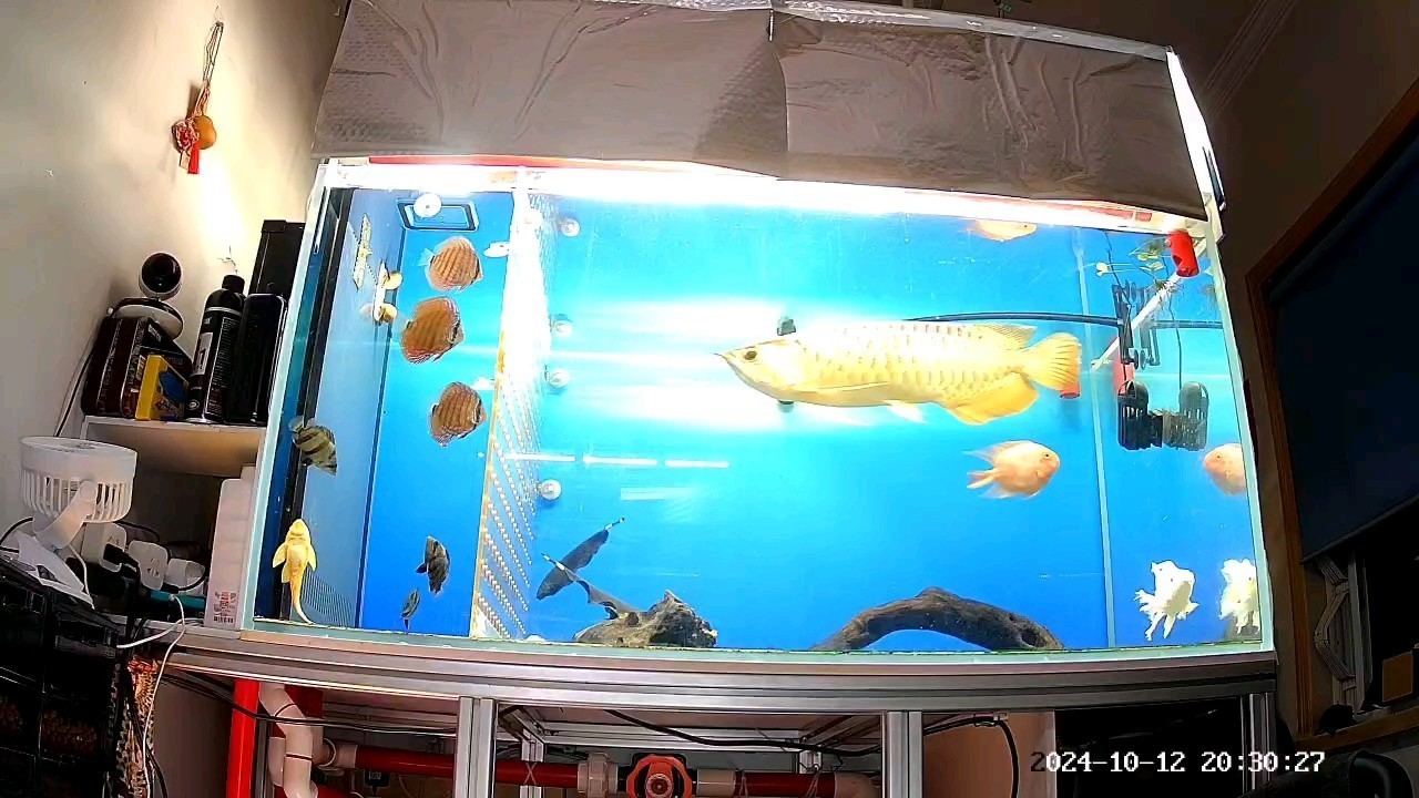 出差在外，遠(yuǎn)遠(yuǎn)看一眼