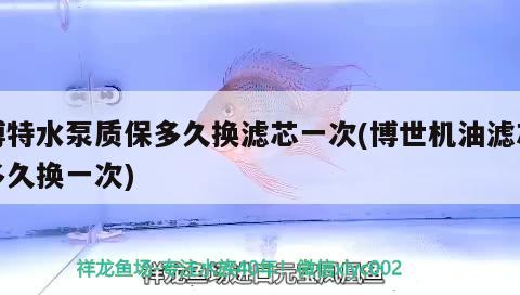 博特水泵質保多久換濾芯一次(博世機油濾芯多久換一次)