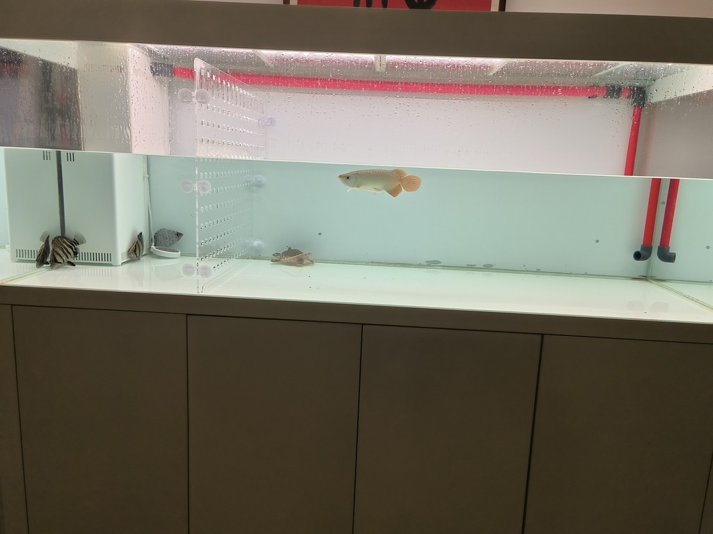飛利浦燈管840，柔和了很多