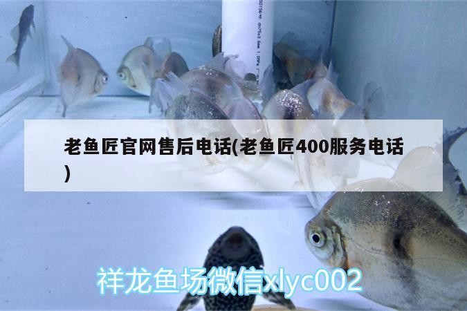 老魚匠官網售后電話(老魚匠400服務電話)