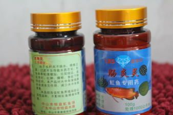 養魟魚皇冠能不能下魚鹽：養魟魚皇冠是否能下魚鹽，