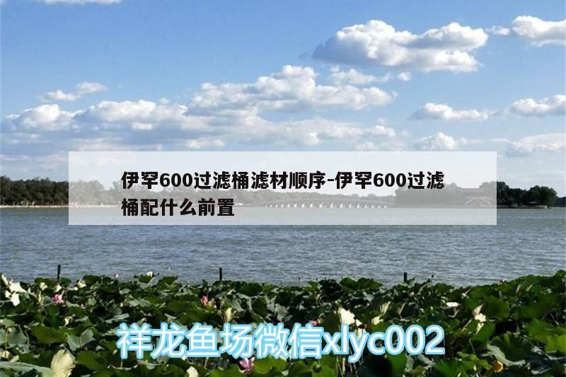 伊罕600過濾桶濾材順序:伊罕600過濾桶配什么前置