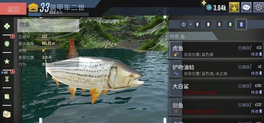 虎魚隔離盒放在什么位置：虎魚隔離盒的放置位置取決于具體需求和魚缸的實際情況