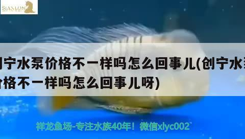 創寧水泵價格不一樣嗎怎么回事兒(創寧水泵價格不一樣嗎怎么回事兒呀)