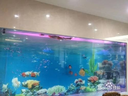 創寧水泵有假貨嗎（創寧水泵有假貨嗎）