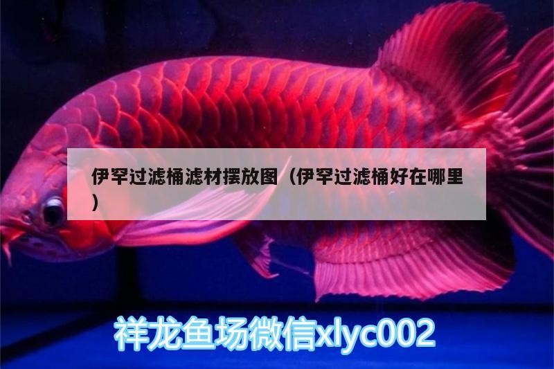 伊罕過濾桶濾材擺放圖（伊罕過濾桶好在哪里） 伊罕過濾桶濾材擺放圖（伊罕過濾桶好在哪里） 伊罕水族