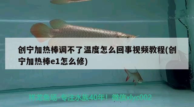 創寧加熱棒調不了溫度怎么回事視頻教程(創寧加熱棒e1怎么修)