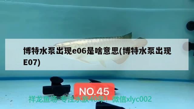博特水泵出現e06是啥意思(博特水泵出現E07)