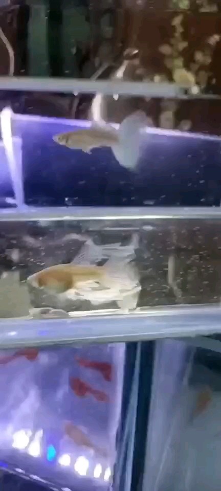 。。。
