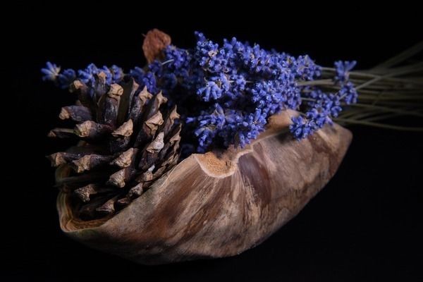 龍魚趴缸最佳恢復方法vs祥龍魚場：祥龍魚場口碑評價龍魚趴缸急救措施祥龍魚場口碑評價