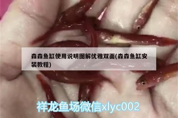 創寧水泵廠家在哪里啊電話多少（創寧水泵廠家在哪里啊電話多少號）