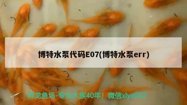 博特水泵代碼E07(博特水泵err)