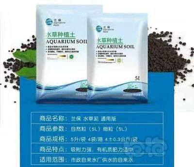 博特與創寧：博特與創寧哪個好