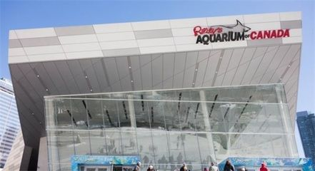 廣州水族館vs祥龍魚場（廣州水族館與祥龍魚場有什么區別？）