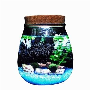 DIY生態魚缸：diydiy生態魚缸的步驟和注意事項