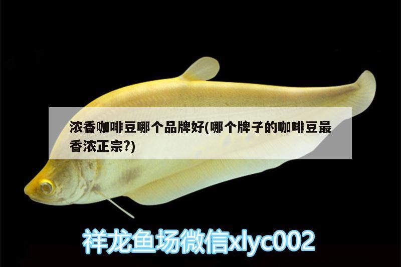 濃香咖啡豆哪個品牌好(哪個牌子的咖啡豆最香濃正宗?)