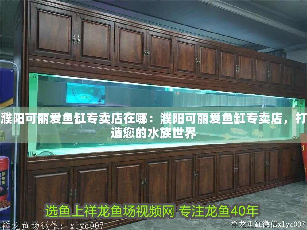 濮陽可麗愛魚缸專賣店在哪：濮陽可麗愛魚缸專賣店，打造您的水族世界 濮陽可麗愛魚缸專賣店在哪：濮陽可麗愛魚缸專賣店，打造您的水族世界 iwish愛唯希品牌魚缸 第1張