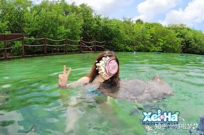 怎么看魟魚吃飽了沒：判斷魟魚是否吃飽的方法：饑餓的魟魚是否吃飽的方法 怎么看魟魚吃飽了沒：判斷魟魚是否吃飽的方法：饑餓的魟魚是否吃飽的方法 魟魚百科 第3張