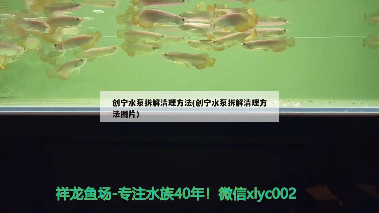 創(chuàng)寧水泵拆解清理方法(創(chuàng)寧水泵拆解清理方法圖片)