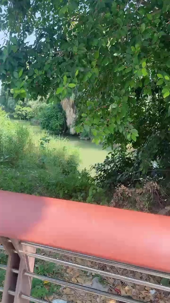 作用不一定大，但結果不能沒有它