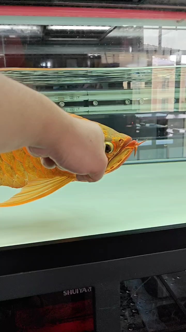 到家的第1347天