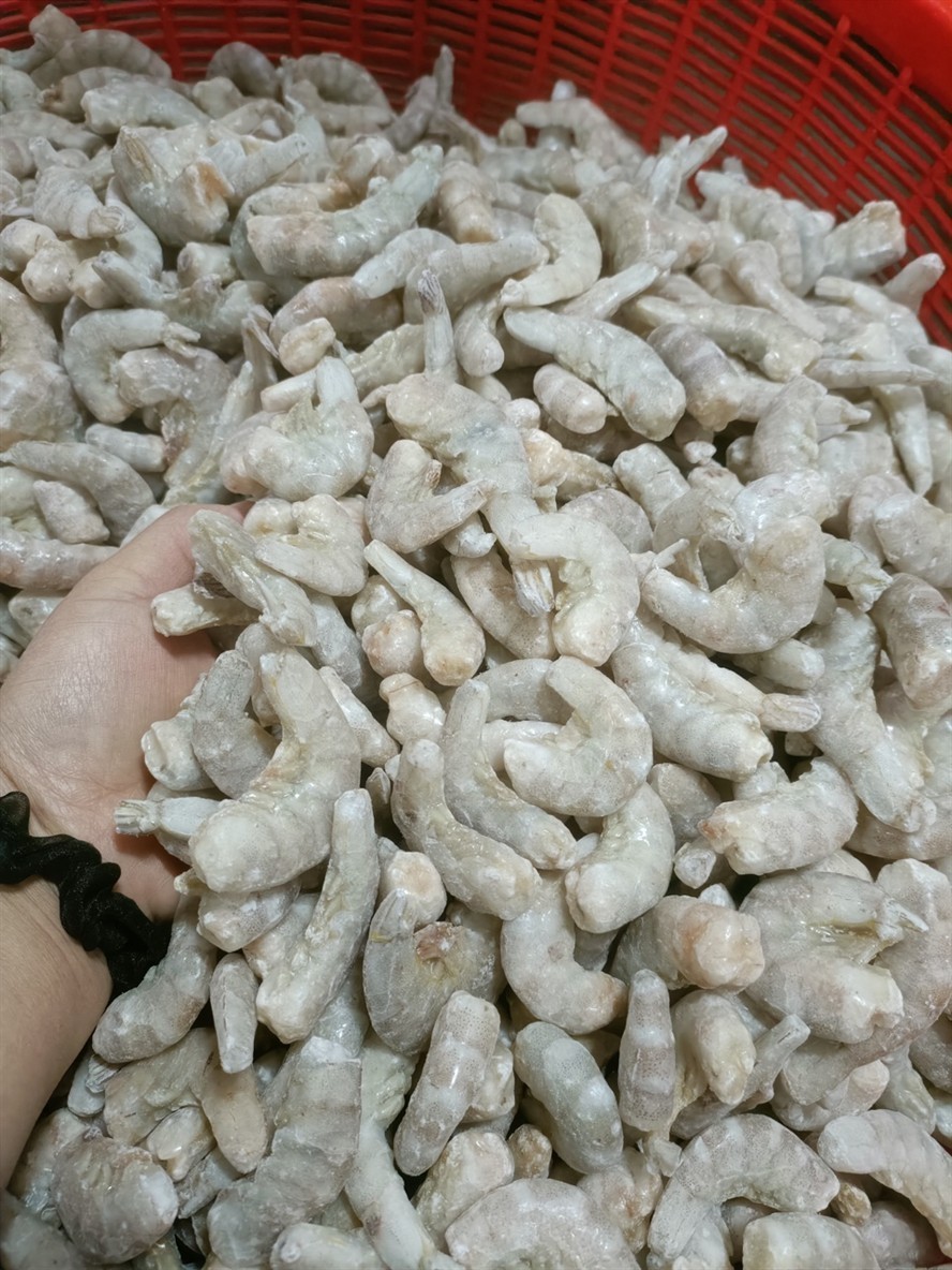 蝦段 蝦段 龍魚論壇 第5張
