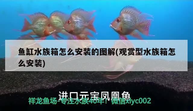 智能排插老魚匠 智能排插老魚匠 老魚匠 第2張