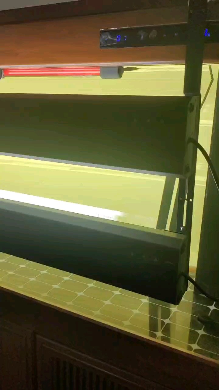 開缸完成 回去接魚