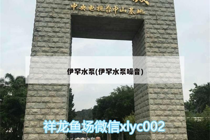 伊罕水泵(伊罕水泵噪音)