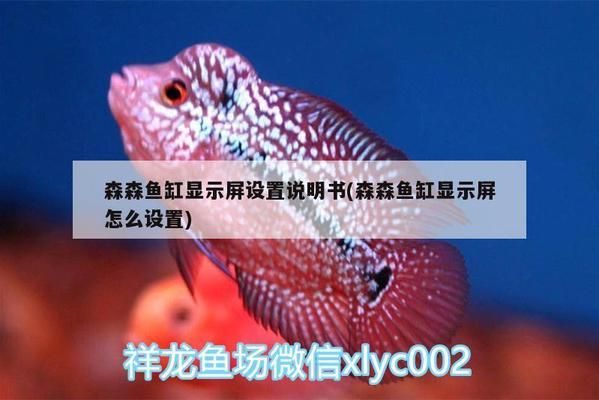 長春市二手魚缸轉讓信息大全最新