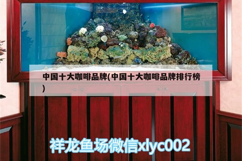 詳細閱讀:中國十大咖啡品牌(中國十大咖啡品牌排行榜) 中國十大咖啡品牌(中國十大咖啡品牌排行榜)