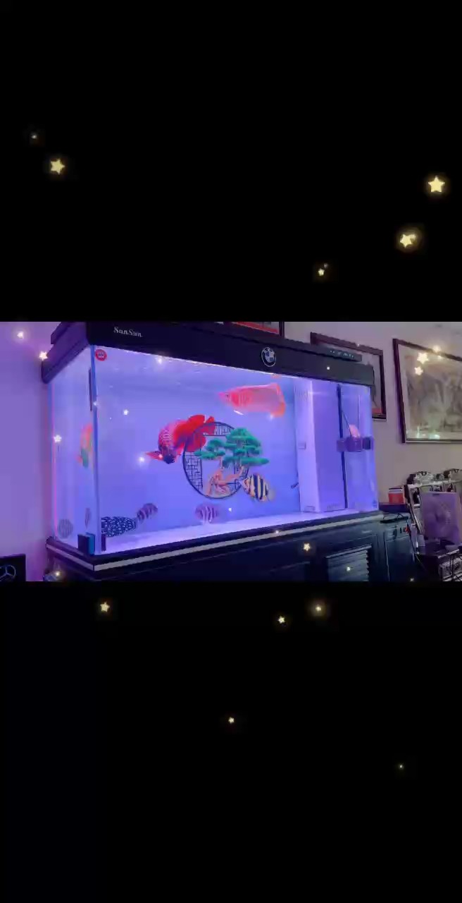 秋天到了可以給你上上色了