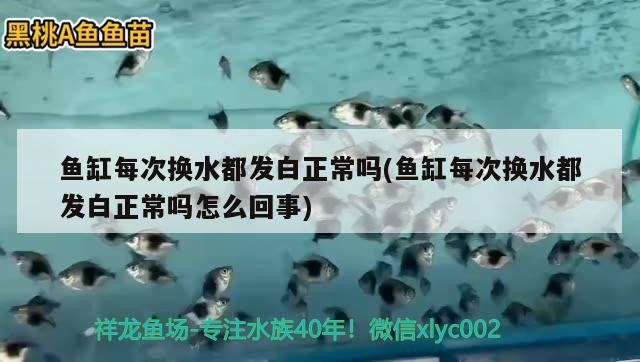關于伊罕精巧桶60最低水位的信息