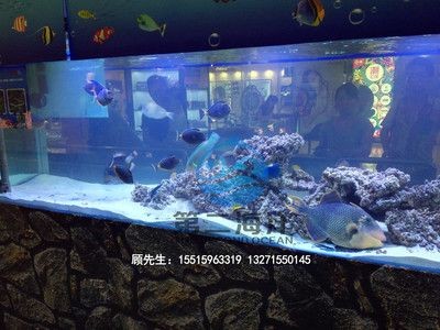 海水觀賞魚店（和順海水觀賞魚店）