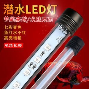 森森的燈怎么樣