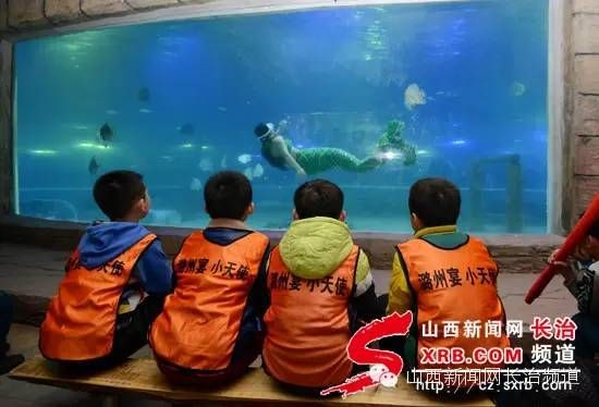長治水族館vs祥龍魚場（探討長治水族館與祥龍魚場之間的差異之前需要明確兩者的基本信息）