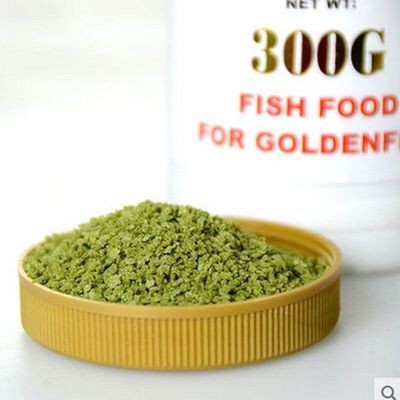 龍魚趴缸底最忌三種vs祥龍魚場：如何挑選健康的龍魚趴缸底