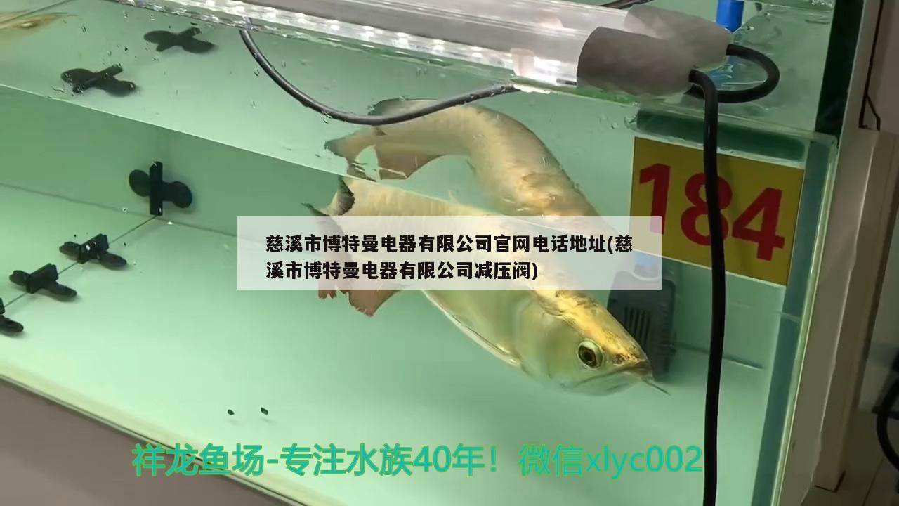 慈溪市博特曼電器有限公司官網電話地址(慈溪市博特曼電器有限公司減壓閥)