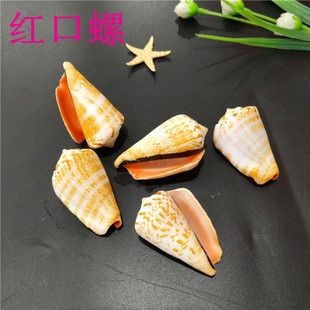 2024廣州世界觀賞魚：2024廣州世界觀賞魚大觀2024廣州國際漁業博覽會