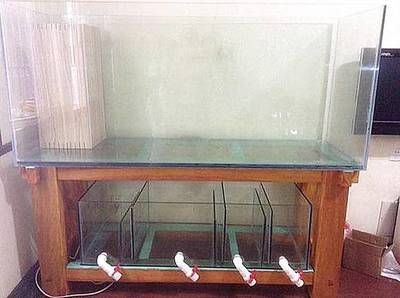 diy魚缸吊架:diy魚缸吊架的方法 魚缸百科 第1張 diy魚缸吊架:diy魚缸吊架的方法 diy魚缸吊架:diy魚缸吊架的方法 魚缸百科 第1張