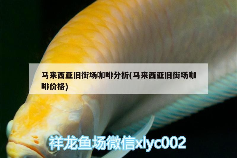 馬來西亞舊街場(chǎng)咖啡分析(馬來西亞舊街場(chǎng)咖啡價(jià)格)