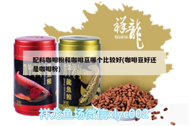 配料咖啡粉和咖啡豆哪個比較好(咖啡豆好還是咖啡粉)