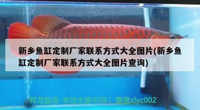 新鄉魚缸定制廠家聯系方式大全圖片(新鄉魚缸定制廠家聯系方式大全圖片查詢)