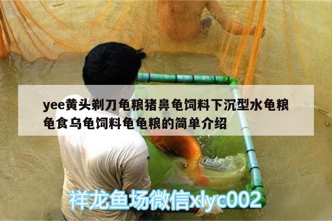 yee黃頭剃刀龜糧豬鼻龜飼料下沉型水龜糧龜食烏龜飼料龜龜糧的簡單介紹
