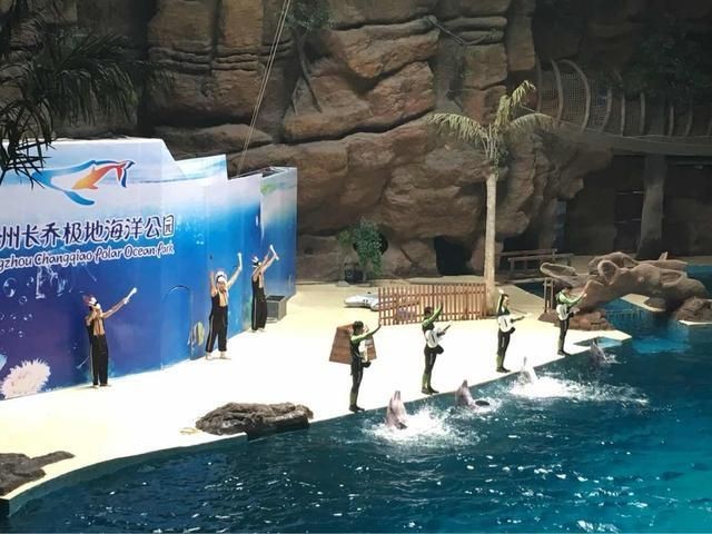 杭州水族館vs祥龍魚場（杭州水族館和祥龍魚場之前，我們需要明確兩者之間的區別）