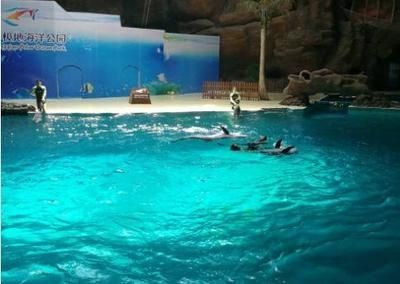 杭州水族館vs祥龍魚場（杭州水族館和祥龍魚場之前，我們需要明確兩者之間的區別）